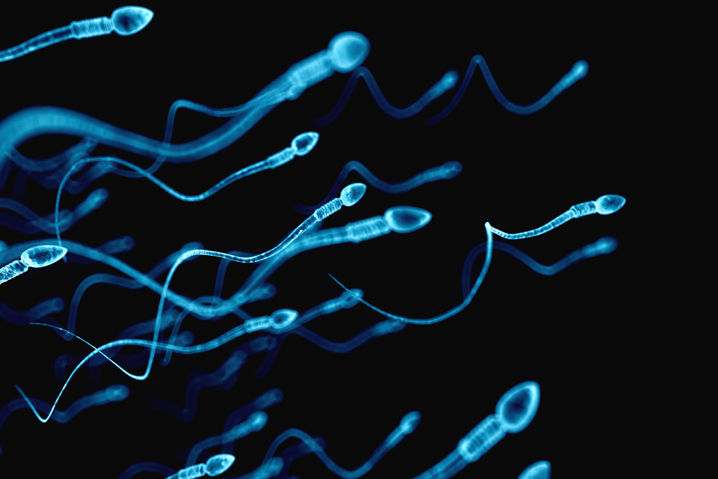 Baja concentración de espermatozoides – Clínica CER